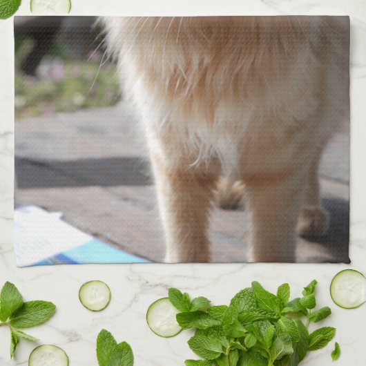 Linge De Cuisine Soleil (Plié)