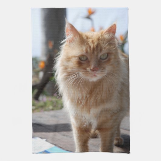 Linge De Cuisine Soleil (Vertical)