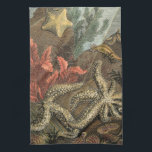 Linge De Cuisine Sous la mer<br><div class="desc">Allez sous l'eau pour explorer la mer avec toutes ces différentes créatures marines. Cette oeuvre d'art vintage s'ajoute parfaitement aux amateurs d'anémones de mer. Il capture la vie marine avec les étoiles de mer, le varech, les algues et d'autres créatures marines. Obtenez votre impression artistique dès aujourd'hui sur votre produit....</div>