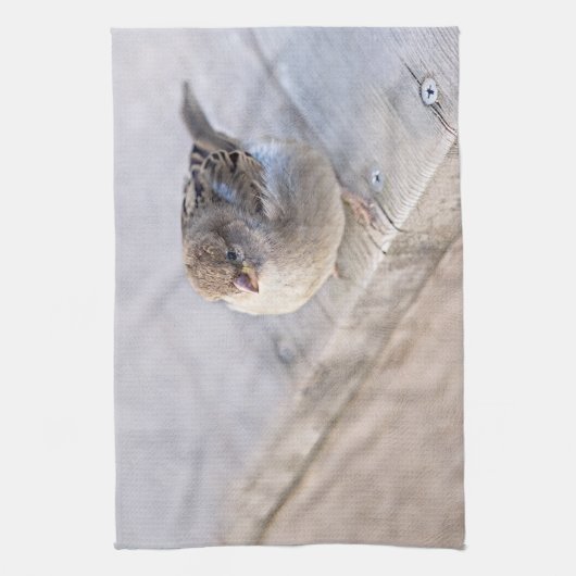 Linge De Cuisine Sparrow (Vertical)