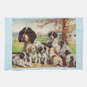 Linge De Cuisine springer spaniel maman et chiots