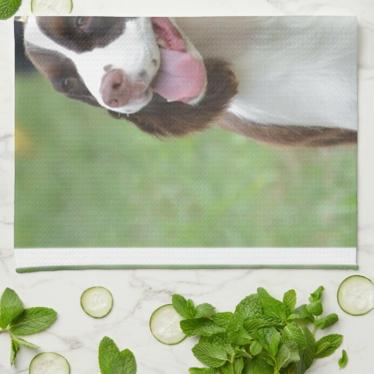 Linge De Cuisine Springer spaniel mignon (Plié)