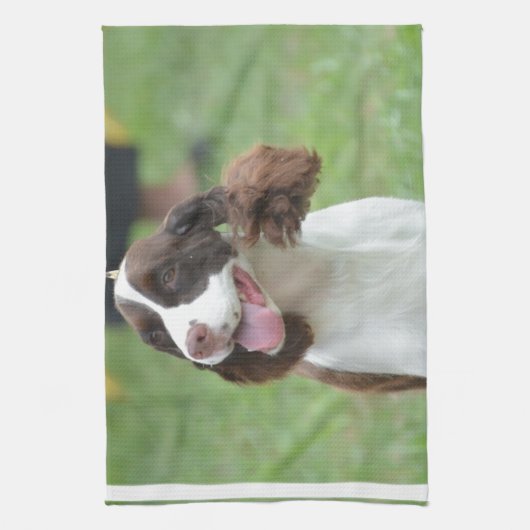 Linge De Cuisine Springer spaniel mignon (Vertical)