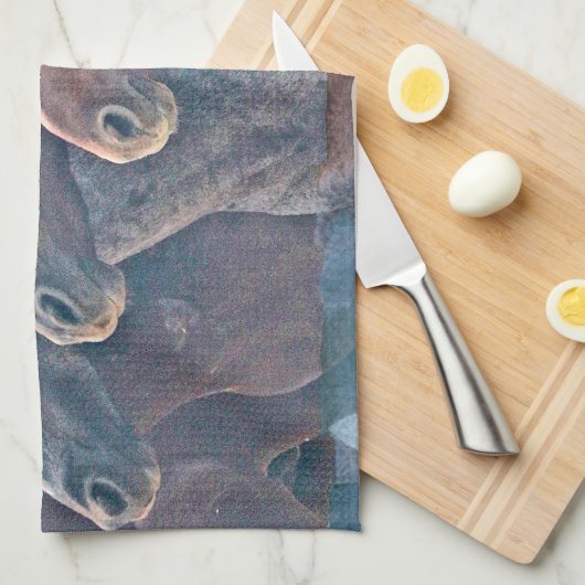 Linge De Cuisine Stampede (Quart Plié)