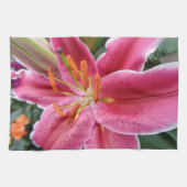 Linge De Cuisine Stargazer (Horizontal)