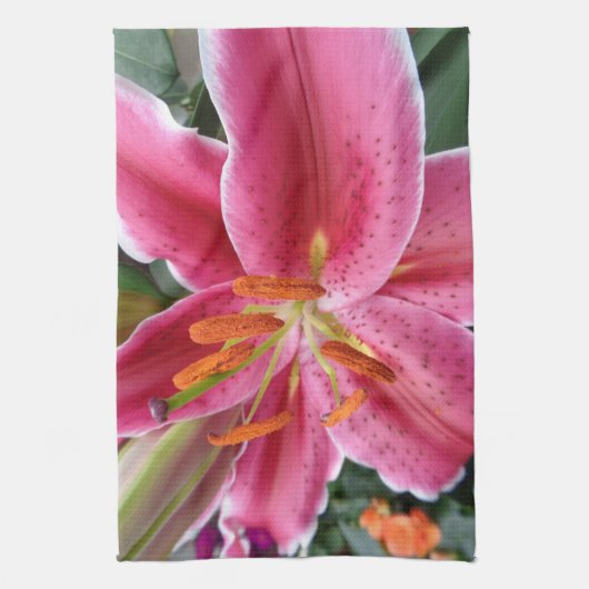 Linge De Cuisine Stargazer (Vertical)