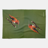 Linge De Cuisine Stunning Ruf Hummingbird on the Cherry Tree (Horizontal)