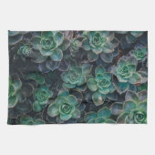 Linge De Cuisine Succulent jardin plat plante (Horizontal)