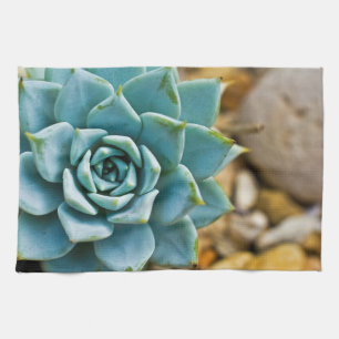 Linge De Cuisine Succulente