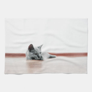 Linge De Cuisine SUPER CUTE Kitten Portrait Photographie