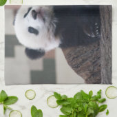 Linge De Cuisine Sweet Giant Panda Baby (Plié)