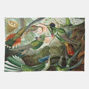 Linge De Cuisine tableau classique de la faune des oiseaux colibris
