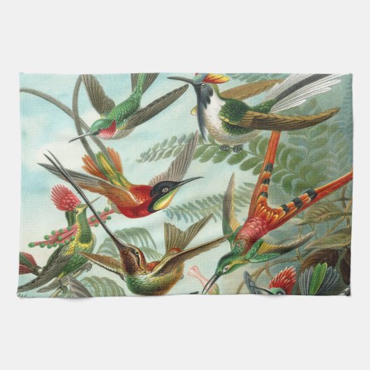 Linge De Cuisine tableau classique de la faune des oiseaux colibris (Horizontal)