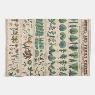 Linge De Cuisine Tableau de l'École de Botanique Antique Nature Vin