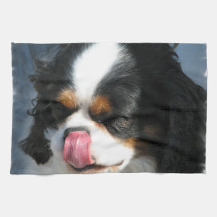 Linge De Cuisine Tablier de cuisine Chien Épagneul