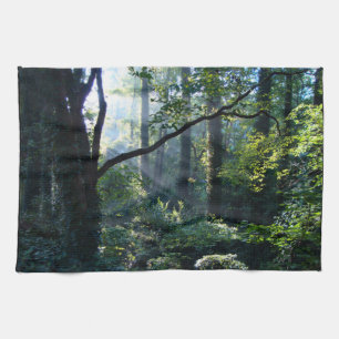Linge De Cuisine Tablier de cuisine First Light