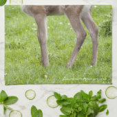 Linge De Cuisine Tablier de cuisine Red Deer Fawn (Plié)