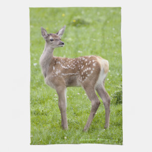 Linge De Cuisine Tablier de cuisine Red Deer Fawn