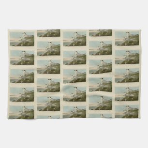 Linge De Cuisine Tern Audubon Birds of America de Havell et Trudeau
