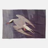 Linge De Cuisine Terne arctique par John James Audubon, Oiseaux Vin (Horizontal)