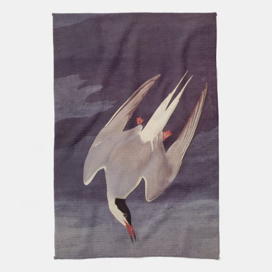 Linge De Cuisine Terne arctique par John James Audubon, Oiseaux Vin (Vertical)