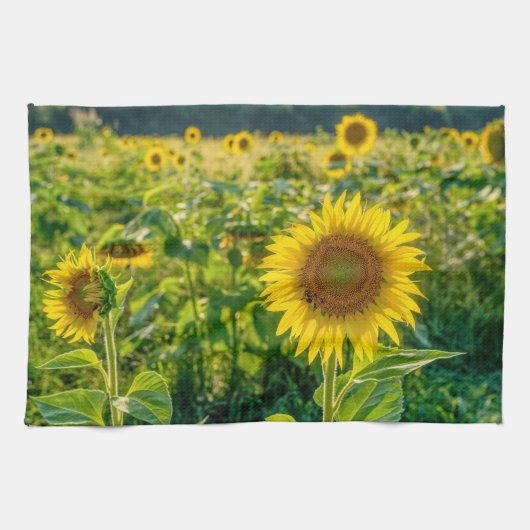 Linge De Cuisine Terrain de tournesol doré (Horizontal)