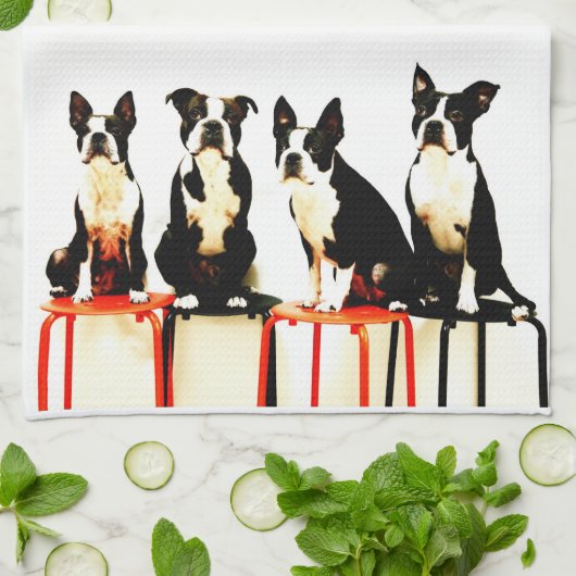 Linge De Cuisine Terrier de Boston Ⅰ (Plié)