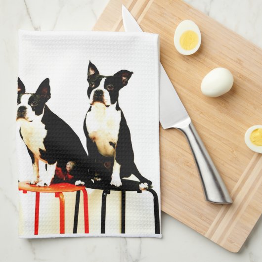 Linge De Cuisine Terrier de Boston Ⅰ (Quart Plié)