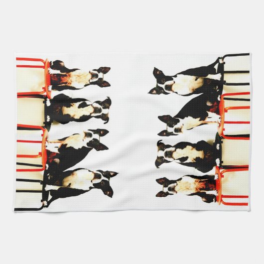 Linge De Cuisine Terrier de Boston Ⅰ (Horizontal)
