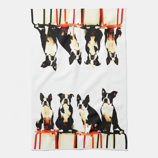 Linge De Cuisine Terrier de Boston Ⅰ (Vertical)