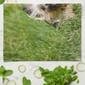 Linge De Cuisine Terrier Yorkshire mignon Traversant L'Herbe (Plié)