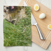 Linge De Cuisine Terrier Yorkshire mignon Traversant L'Herbe (Quart Plié)