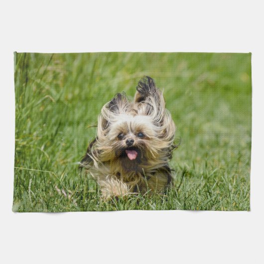 Linge De Cuisine Terrier Yorkshire mignon Traversant L'Herbe (Horizontal)