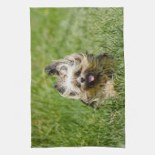 Linge De Cuisine Terrier Yorkshire mignon Traversant L'Herbe (Vertical)