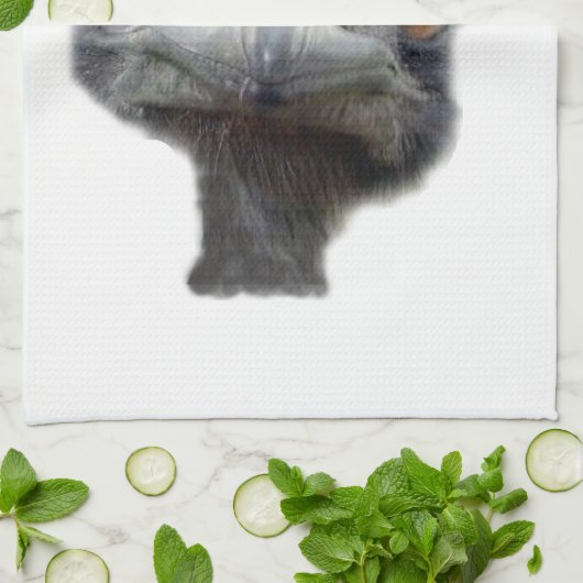 Linge De Cuisine Tête d'autruche (Plié)