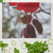 Linge De Cuisine The Heart of Winter  (Plié)