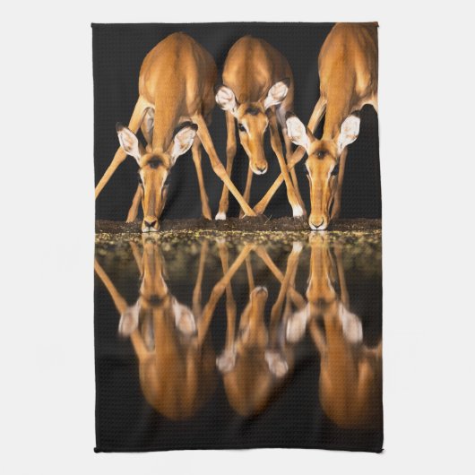 Linge De Cuisine Three Impala Drink Together at Night (Vertical)