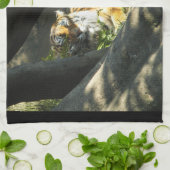 Linge De Cuisine Tiger Catnap (Plié)