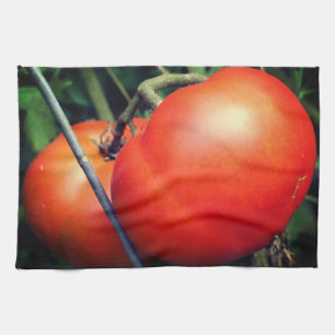 Linge De Cuisine Tomates Rouge Ripe Garden Sur La Vigne