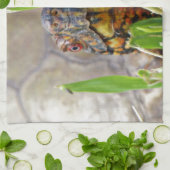 Linge De Cuisine Tortue (Plié)