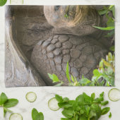 Linge De Cuisine Tortue géante (Plié)