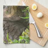 Linge De Cuisine Tortue géante (Quart Plié)