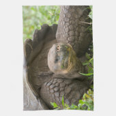 Linge De Cuisine Tortue géante (Vertical)
