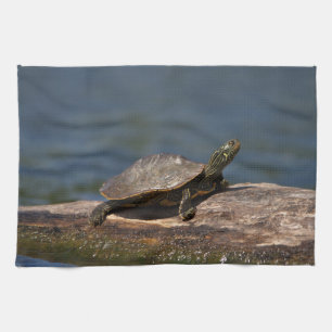 Linge De Cuisine Tortue peinte sur un bûcher