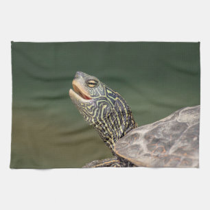 Linge De Cuisine Tortue sur La Chute