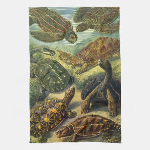 Linge De Cuisine Tortues de mer Tortue terrestre vintage par Ernst
