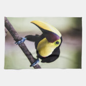 Linge De Cuisine Toucan du Costa Rica (Horizontal)