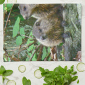 Linge De Cuisine Trois bébé Groundhogs (Plié)