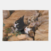 Linge De Cuisine Trois chatons curieux mignons (Horizontal)