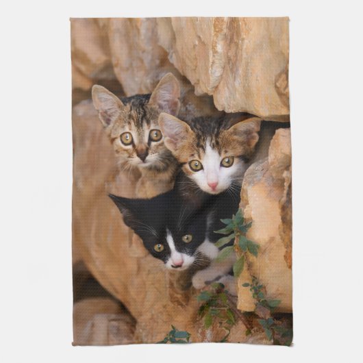 Linge De Cuisine Trois chatons curieux mignons (Vertical)